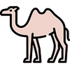 No More Camel Toe